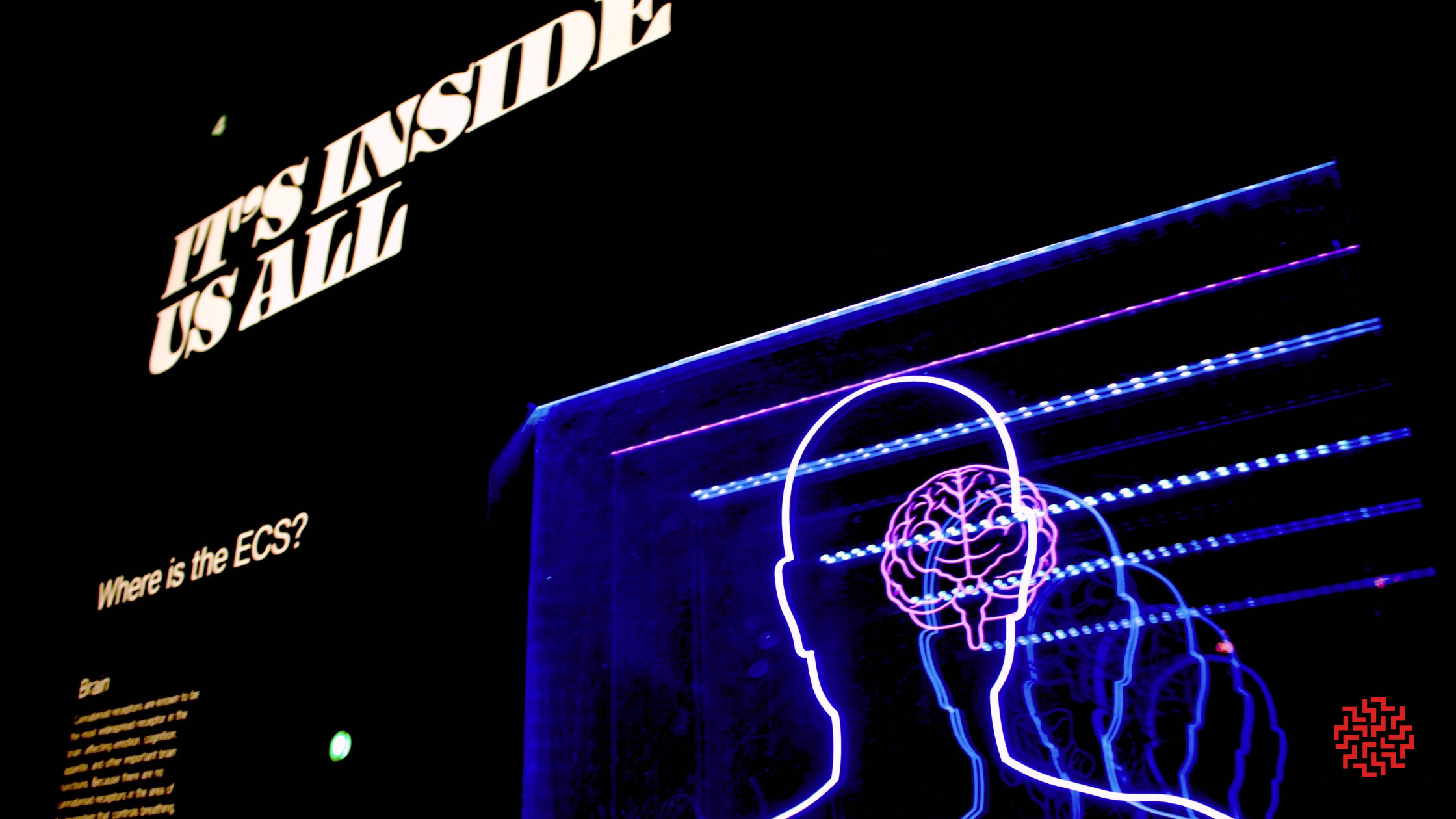 mindmed raises prior to IPO