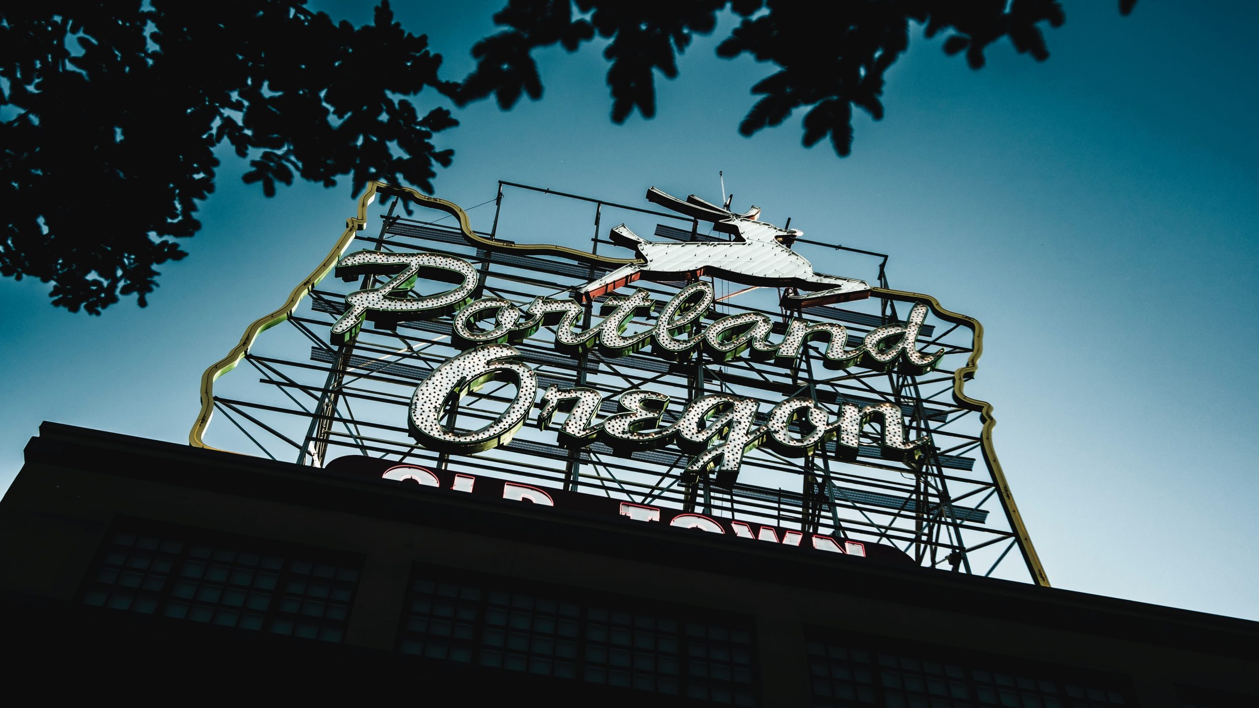 Oregon psychedelic laws
