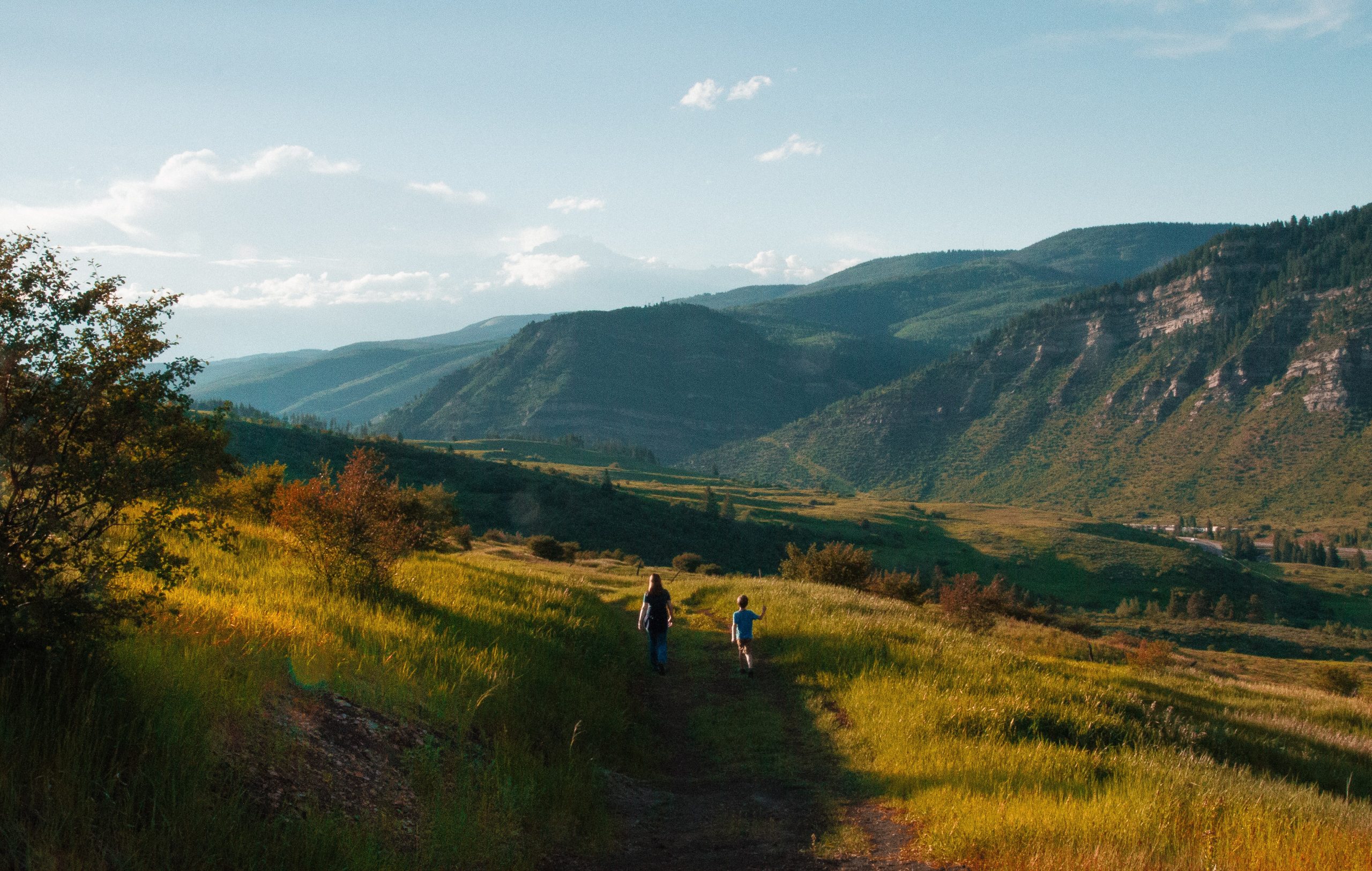 colorado psychedelic laws