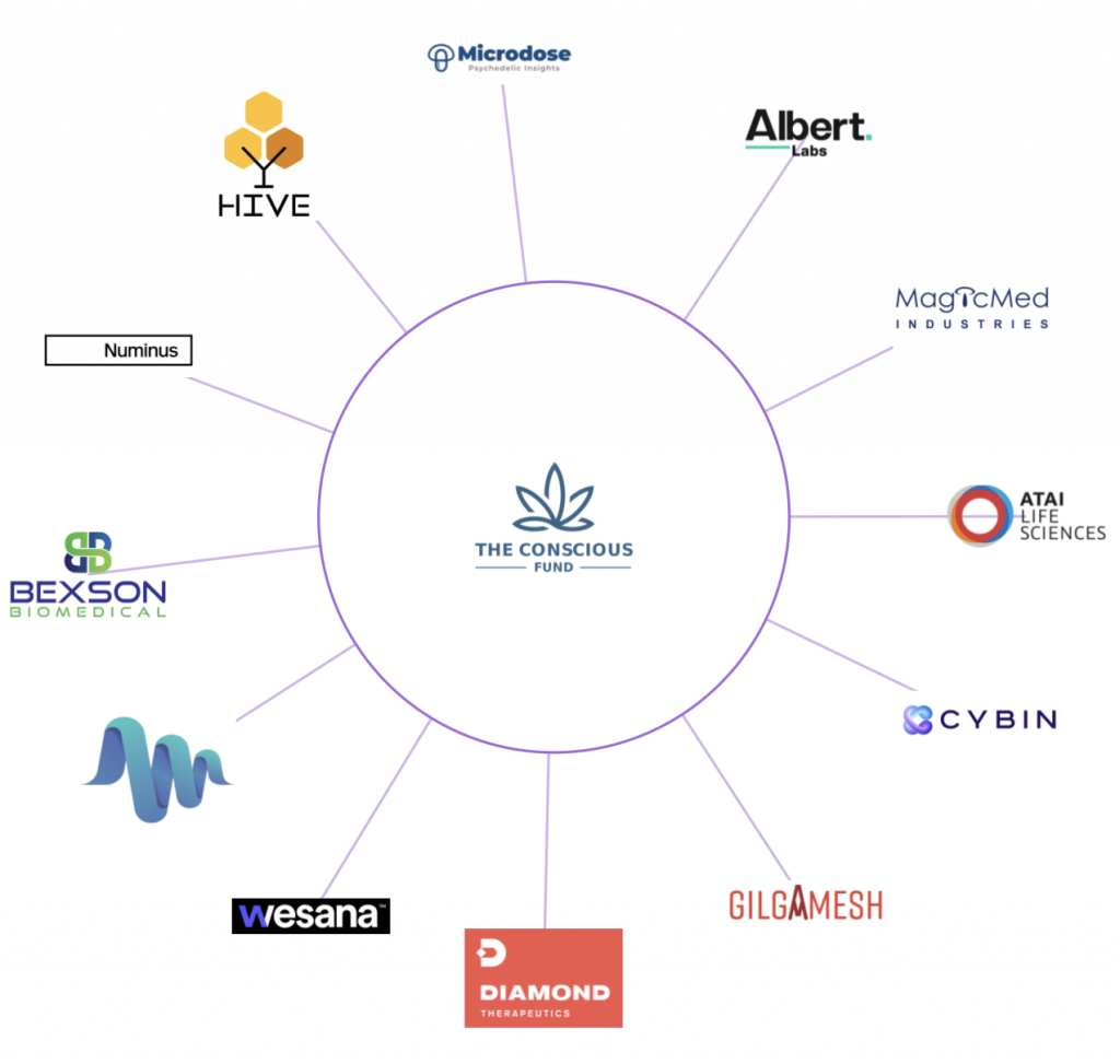 Visualizing the Psychedelics Investment Ecosystem | Psychedelic Invest