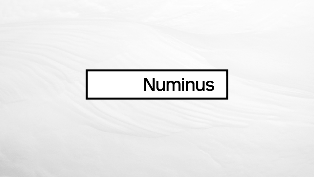 Numinus